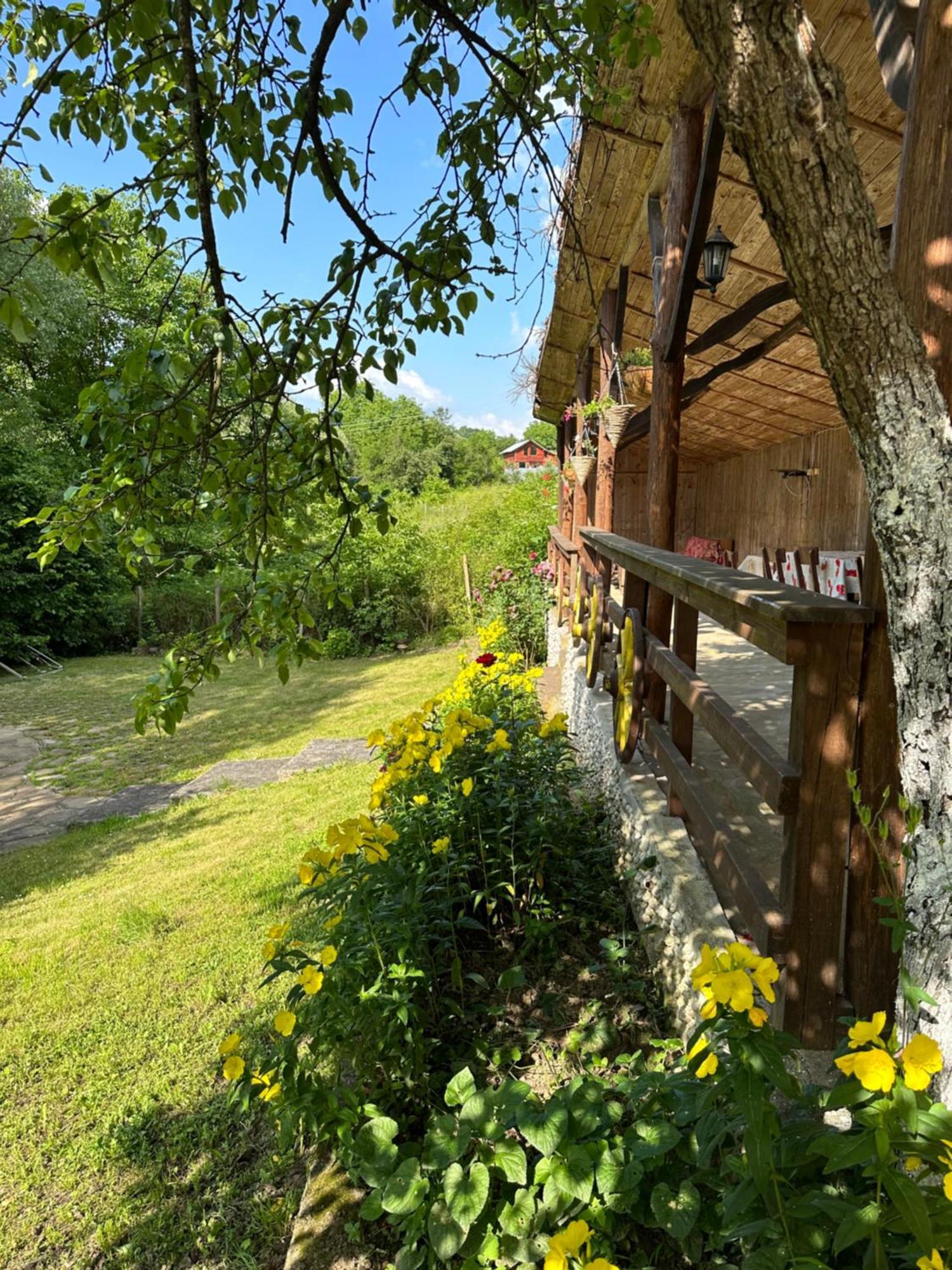 Вила Чевермето Palitsi Exteriér fotografie