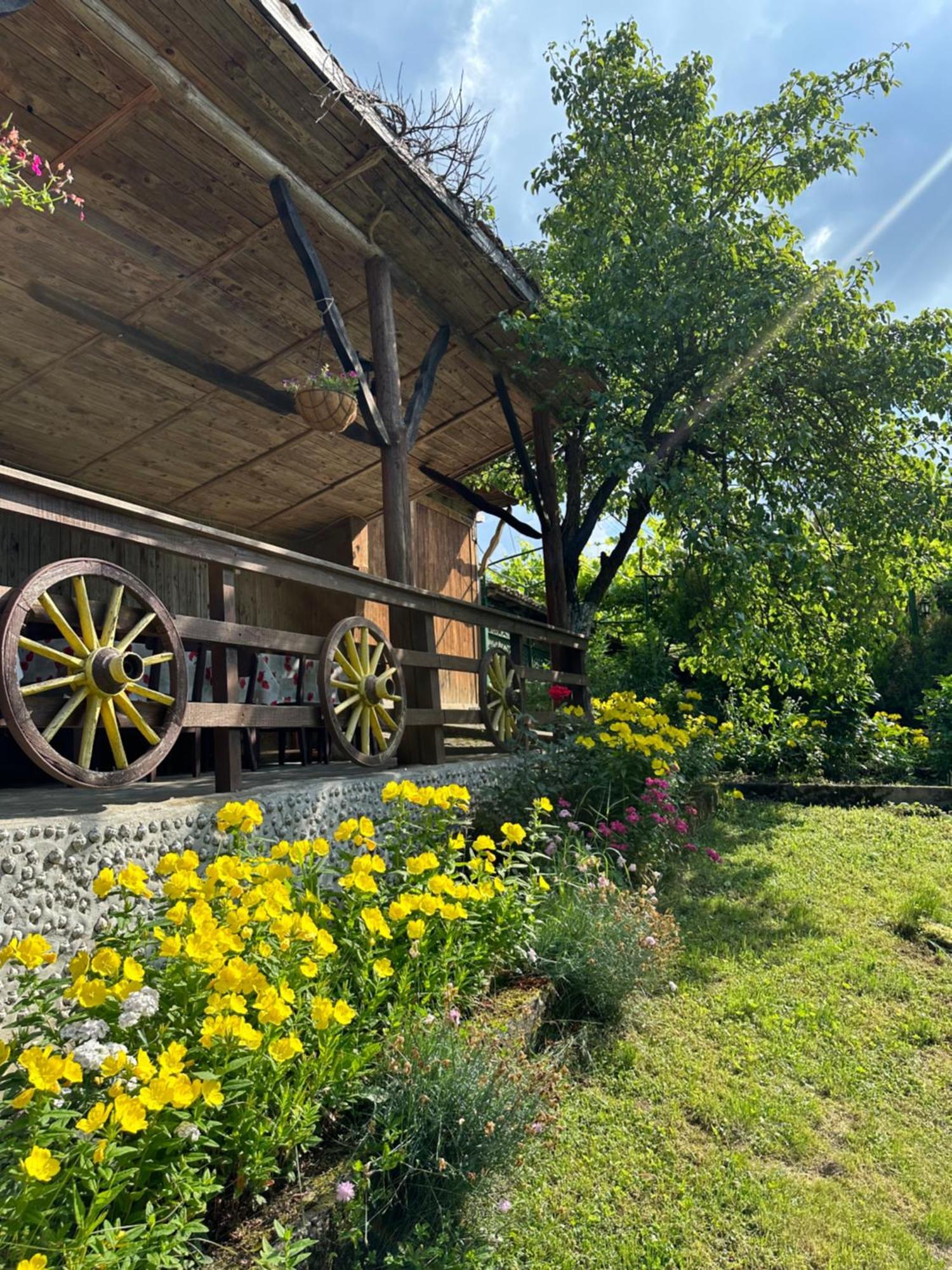 Вила Чевермето Palitsi Exteriér fotografie