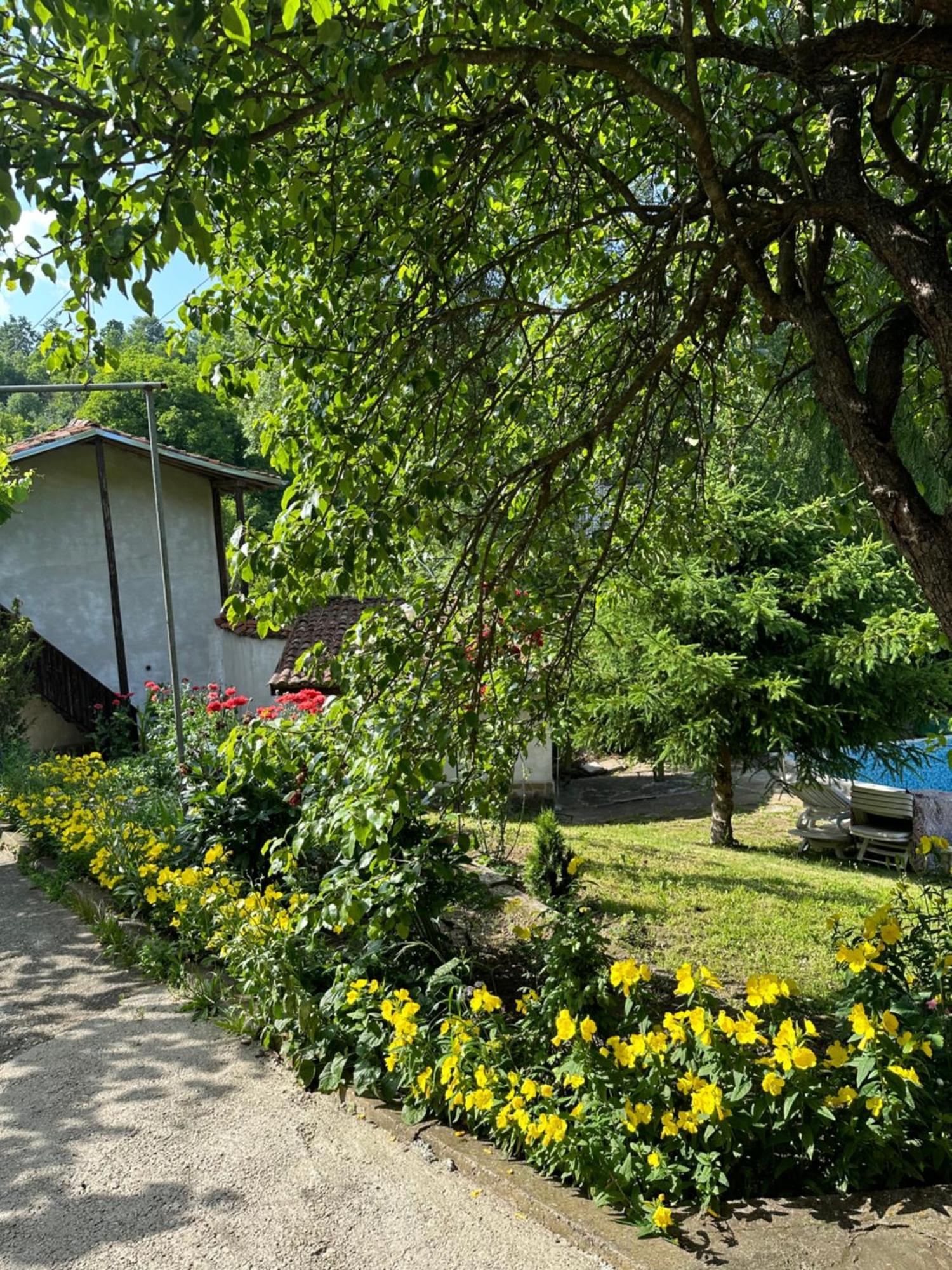 Вила Чевермето Palitsi Exteriér fotografie