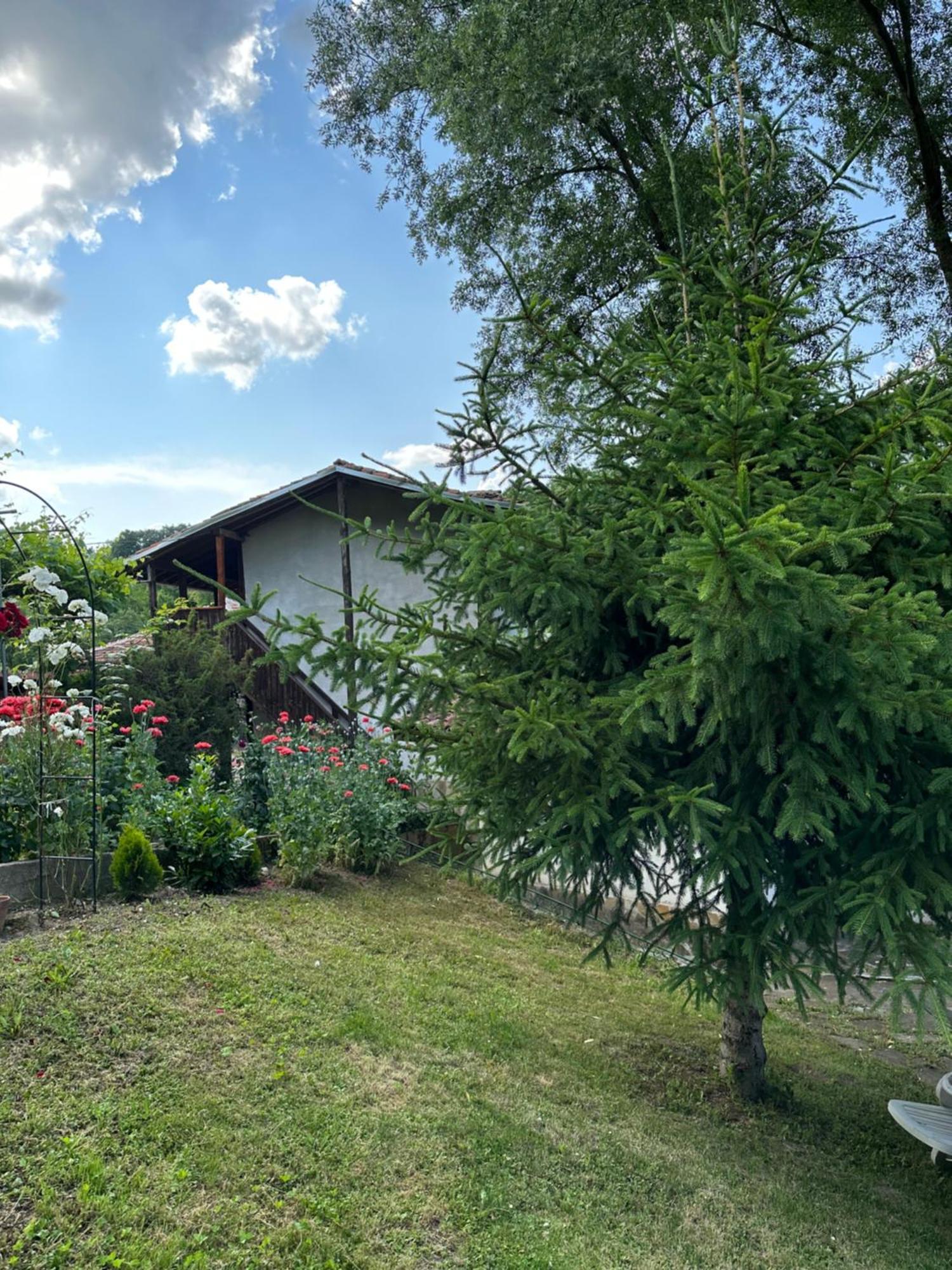 Вила Чевермето Palitsi Exteriér fotografie